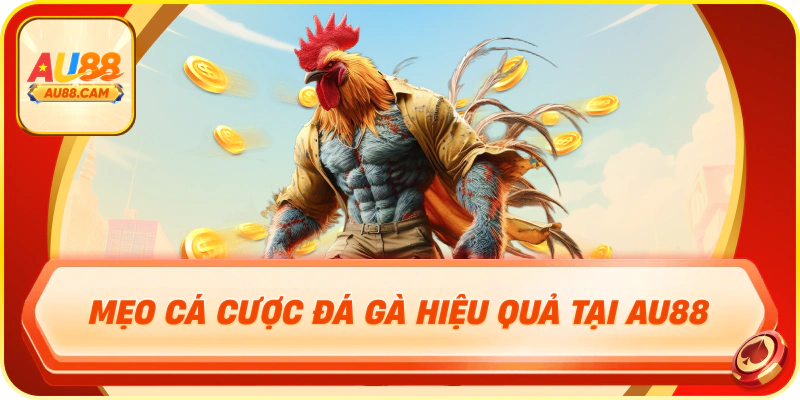 Mẹo cá cược đá gà hiệu quả tại au88