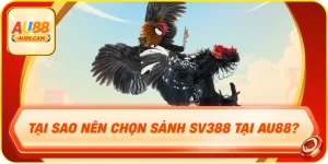Tại sao nên chọn sảnh sv388 tại au88?